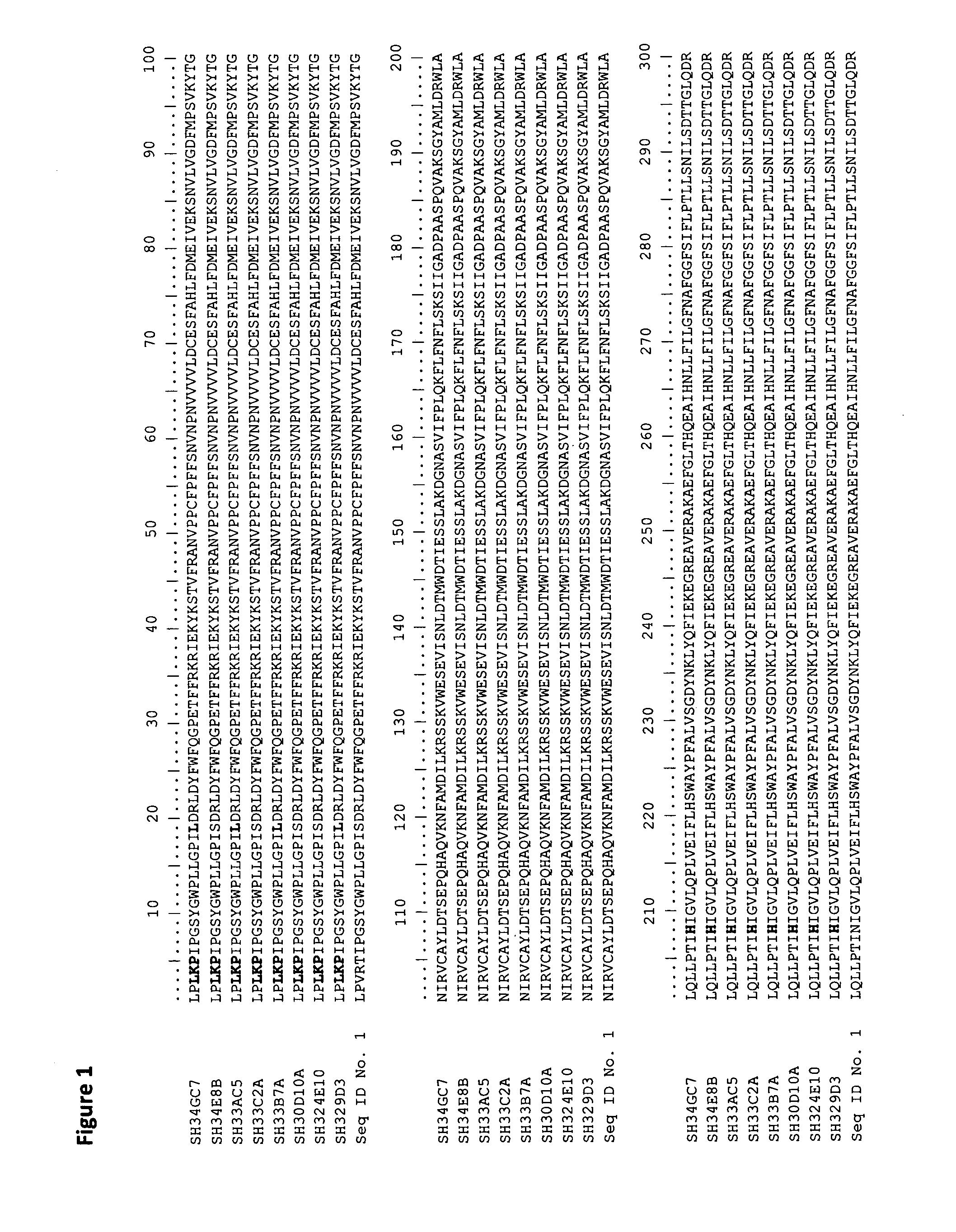 Modified 13-hydroperoxide lyases and uses thereof
