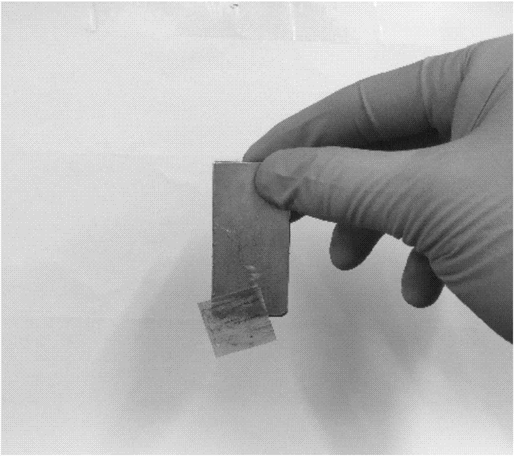 A preparation method of fluorescent transparent magnetic wood