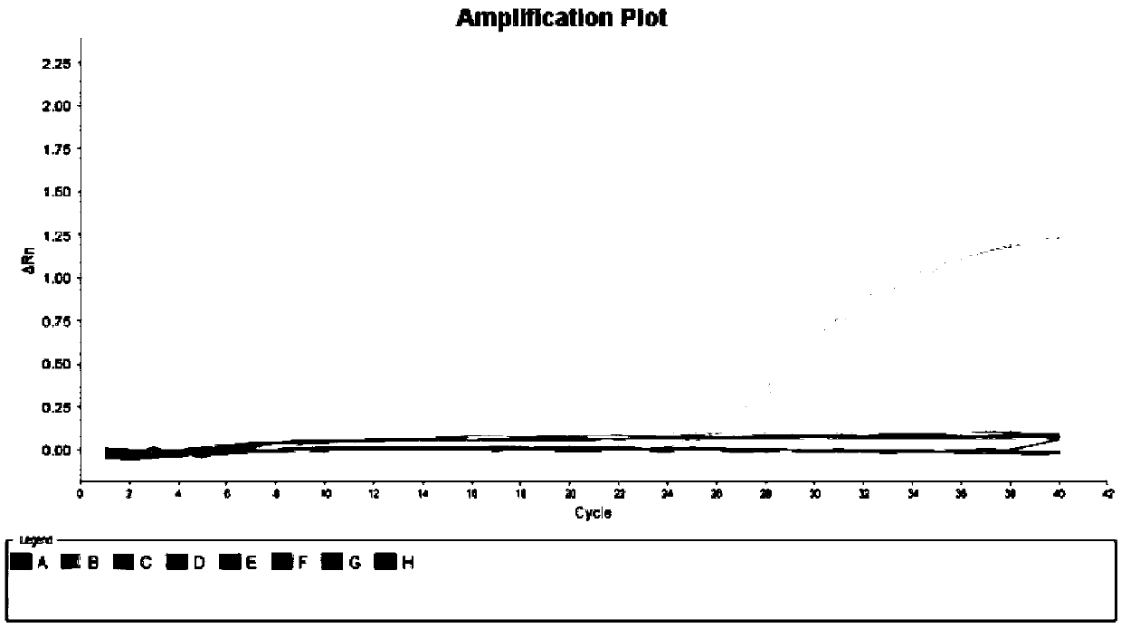 Kit for quantitatively detecting solanum tuberosum component based on microdroplet digital PCR (Polymerase Chain Reaction) and application of kit