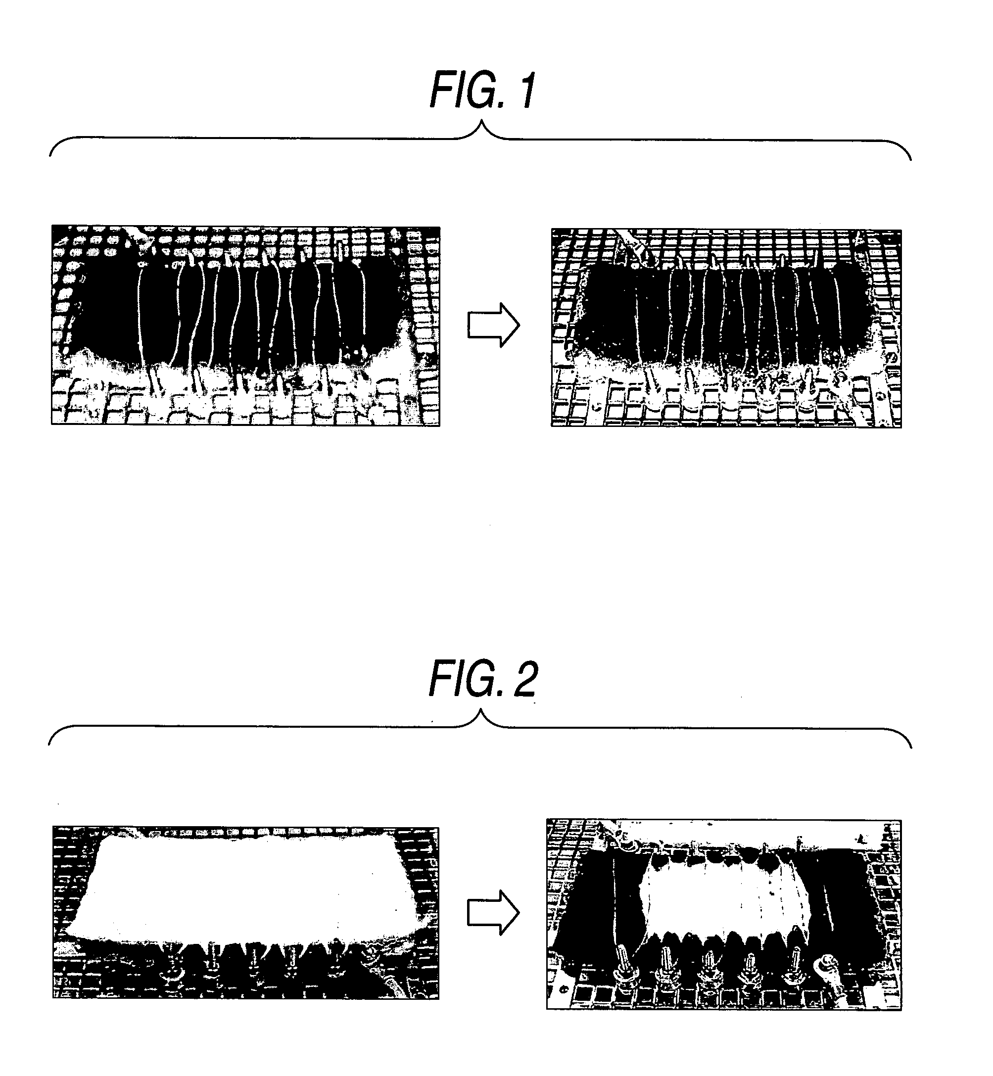 Particulate matter removal apparatus