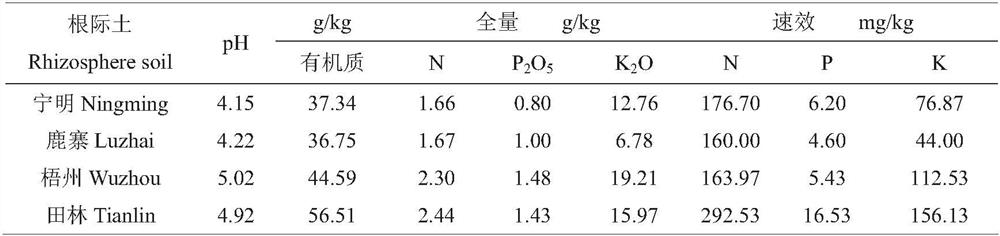 A high-efficiency phosphate-solubilizing Bacillus megaterium in the rhizosphere of forest trees and its application