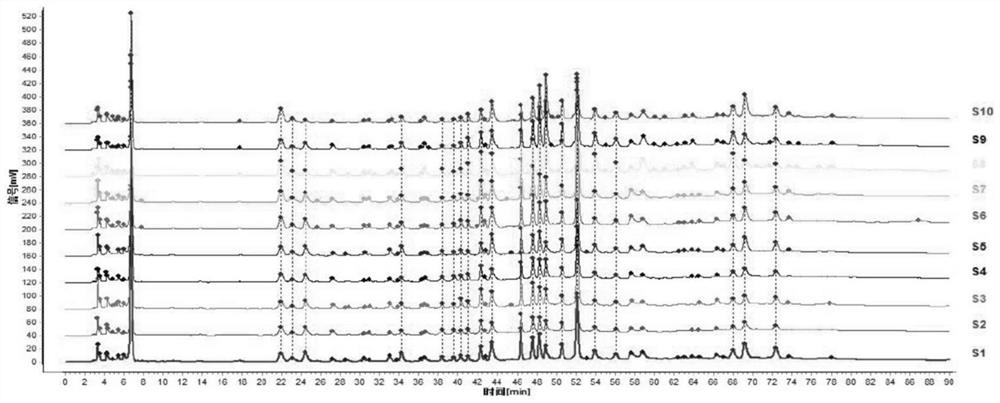 Detection method and quality control method of rhodiola rosea wall-broken decoction pieces