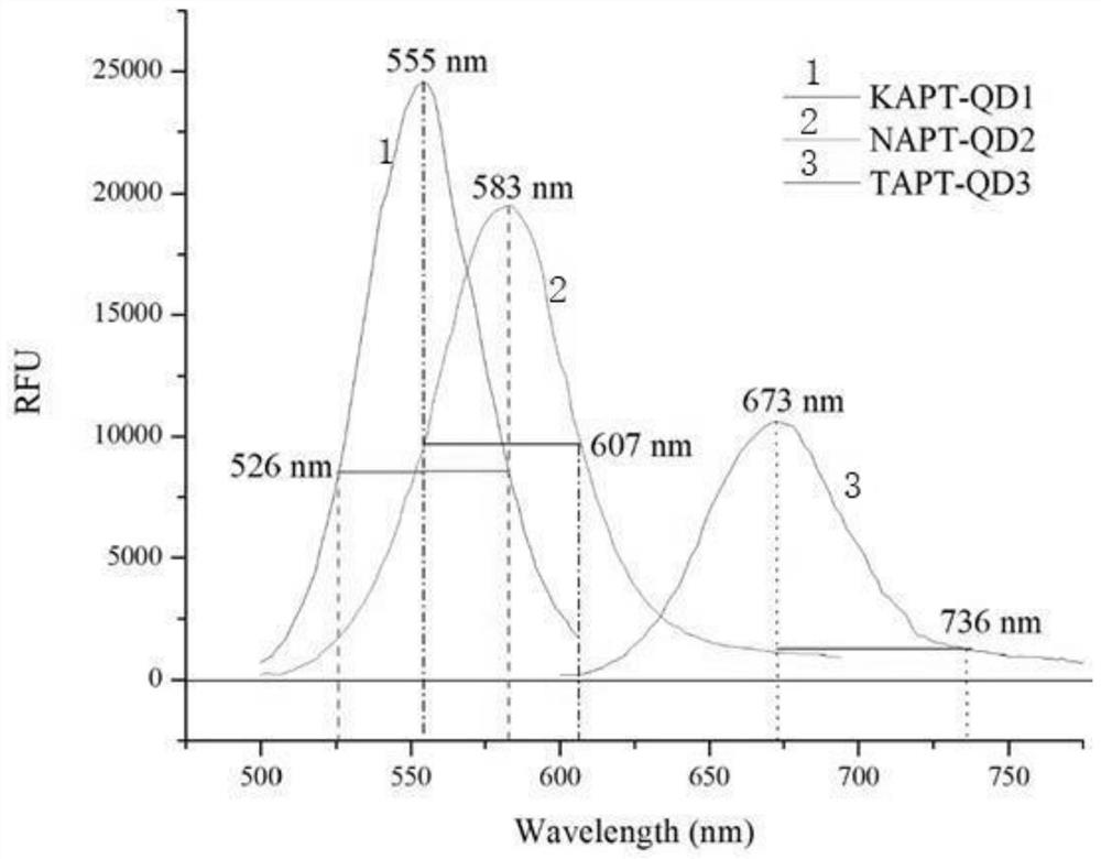 Aminoglycoside antibiotic multi-residue simultaneous rapid fluorescence detection reagent and application