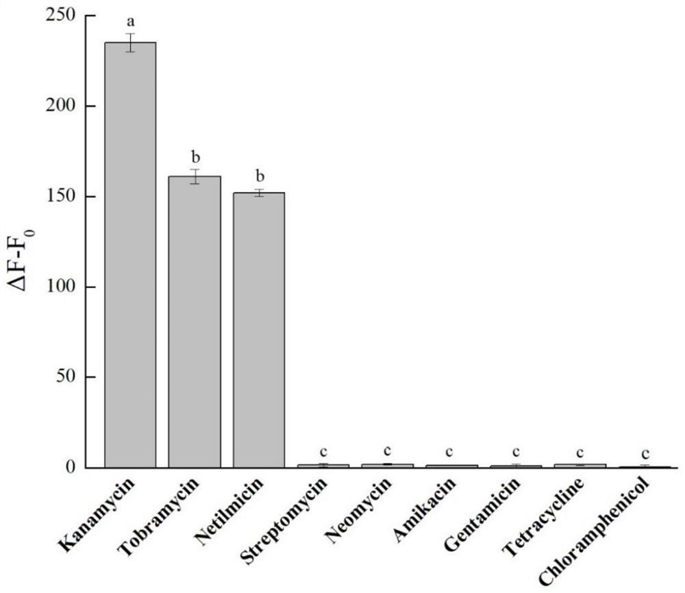 Aminoglycoside antibiotic multi-residue simultaneous rapid fluorescence detection reagent and application