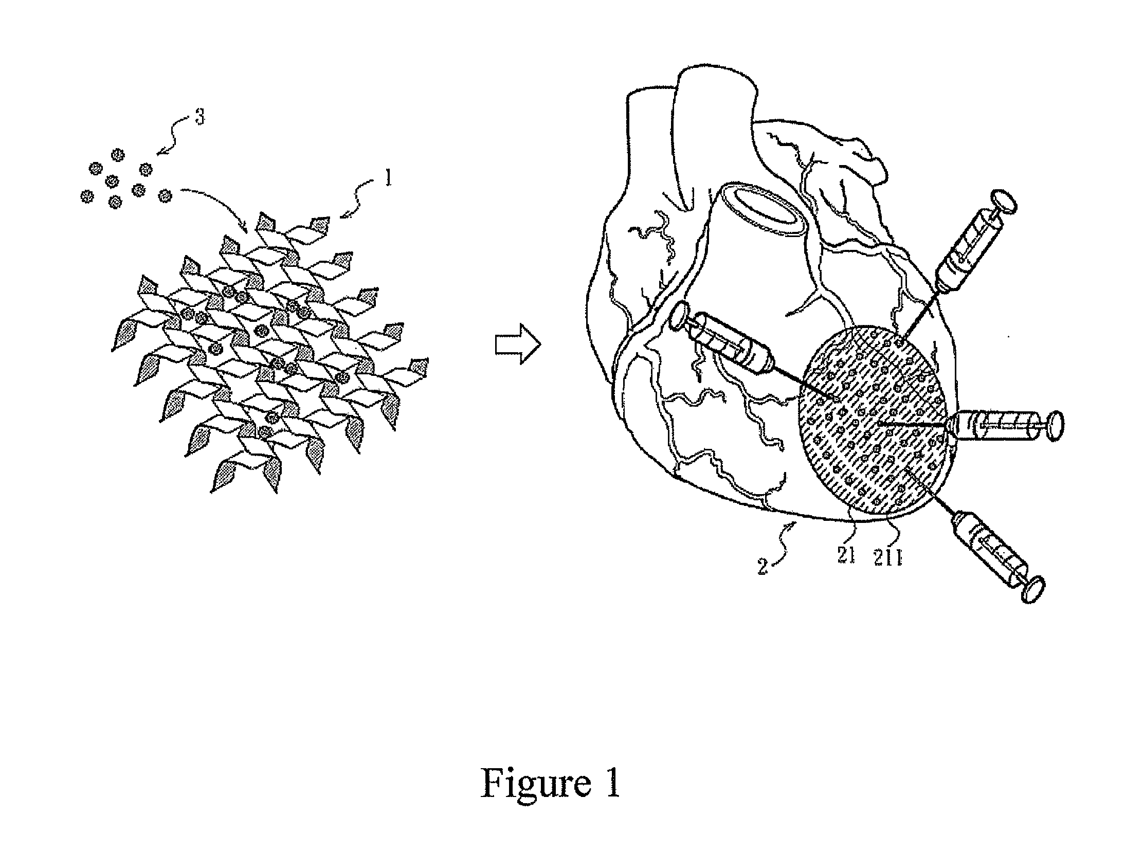 Pharmaceutical composition for promoting arteriogenesis, and preparation method and applications for the same