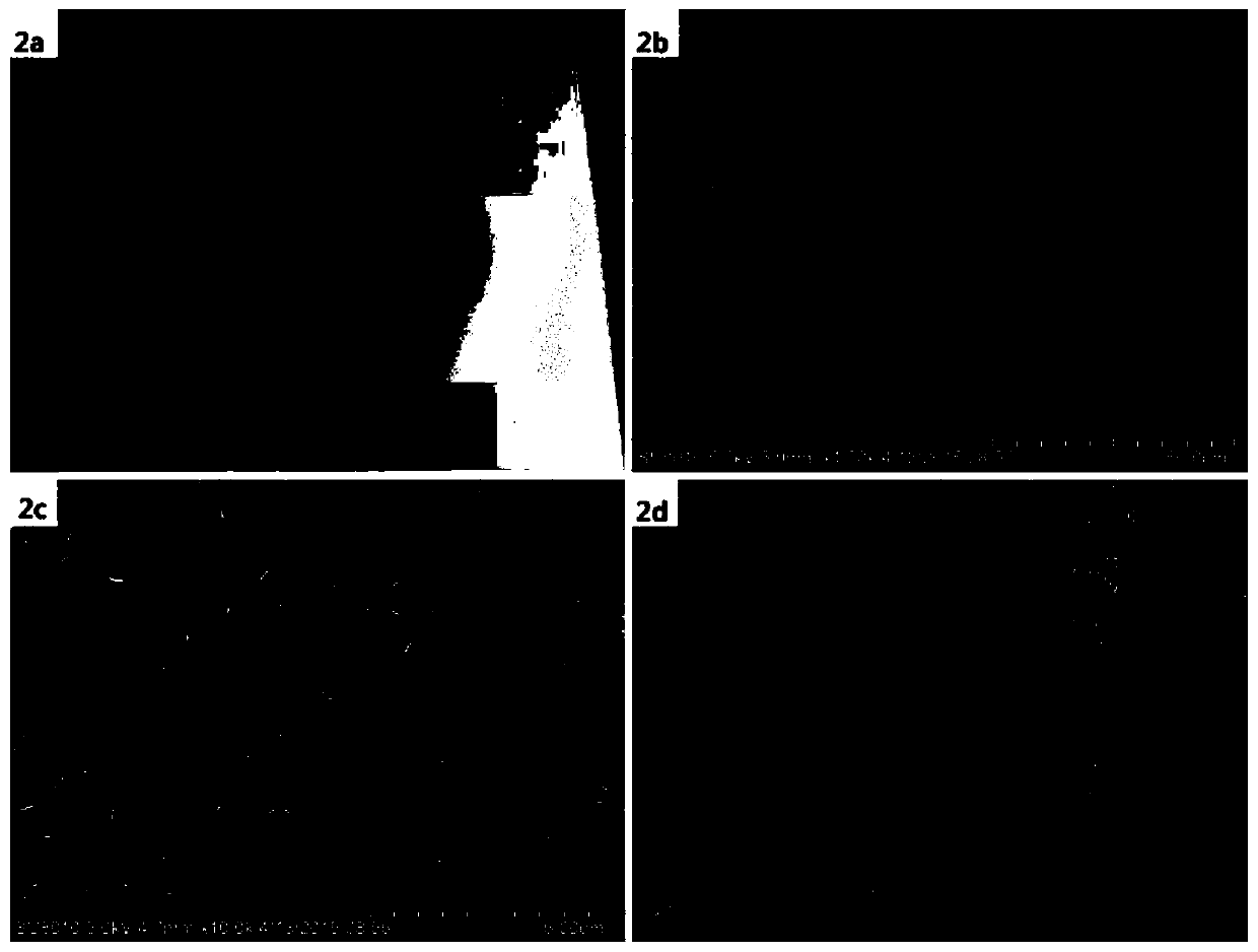 A method to improve the field emission performance of graphene sheet-carbon nanotube film flexible composite material