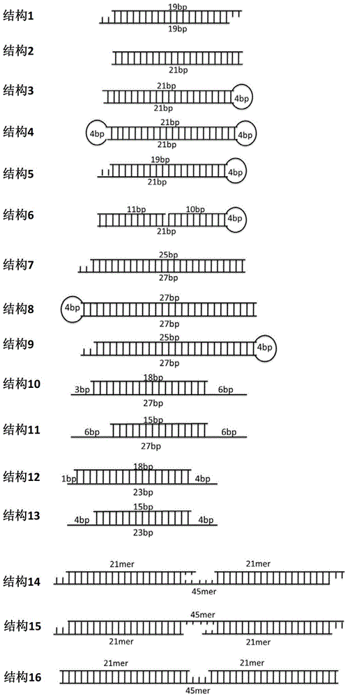 RNA interference preparation used for treating viral hepatitis B