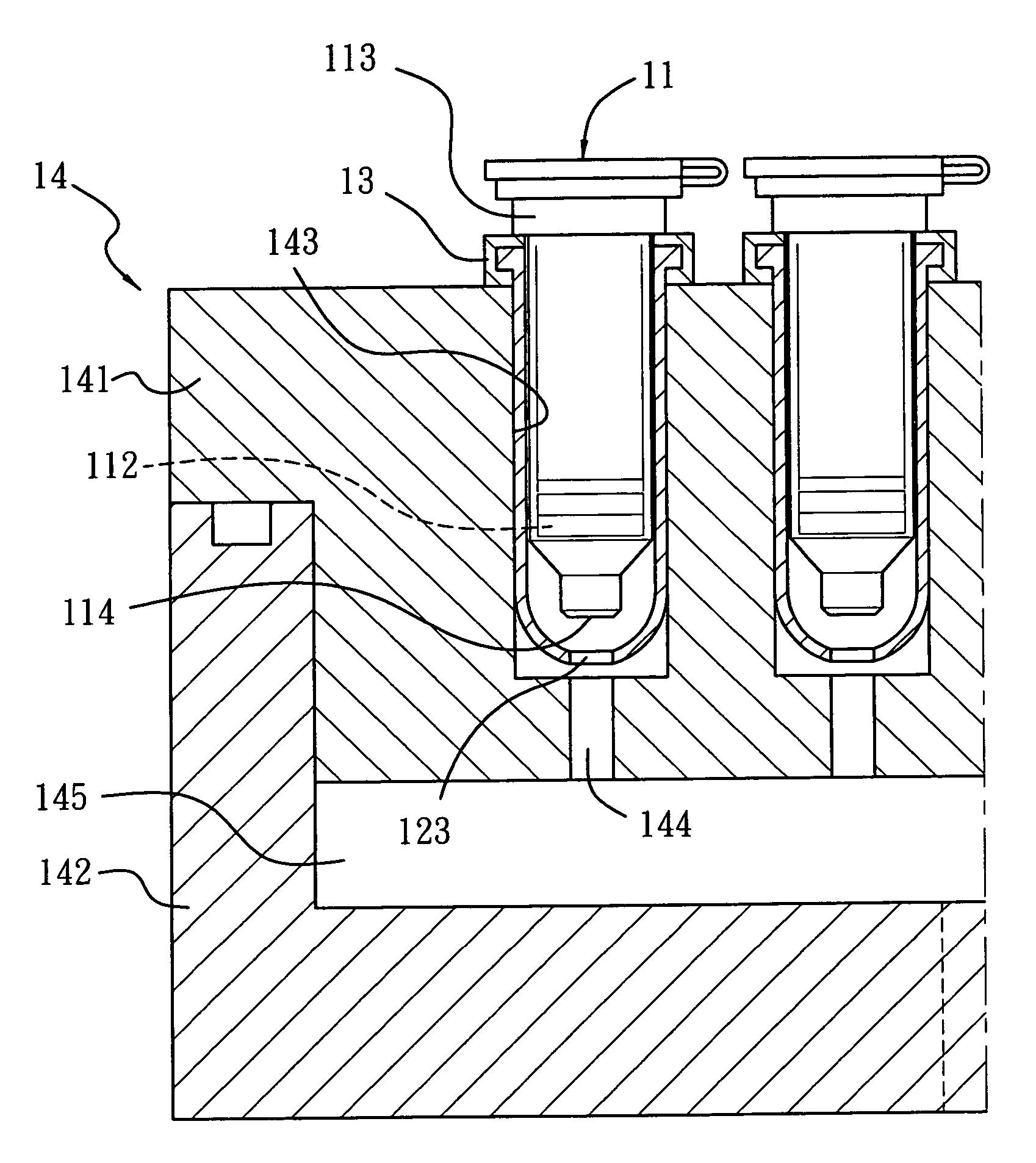 Apparatus for processing biological sample
