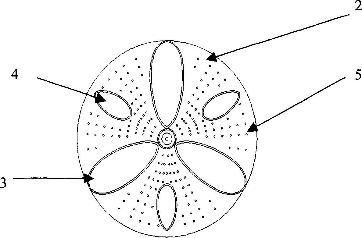 Modified washing machine impeller structure