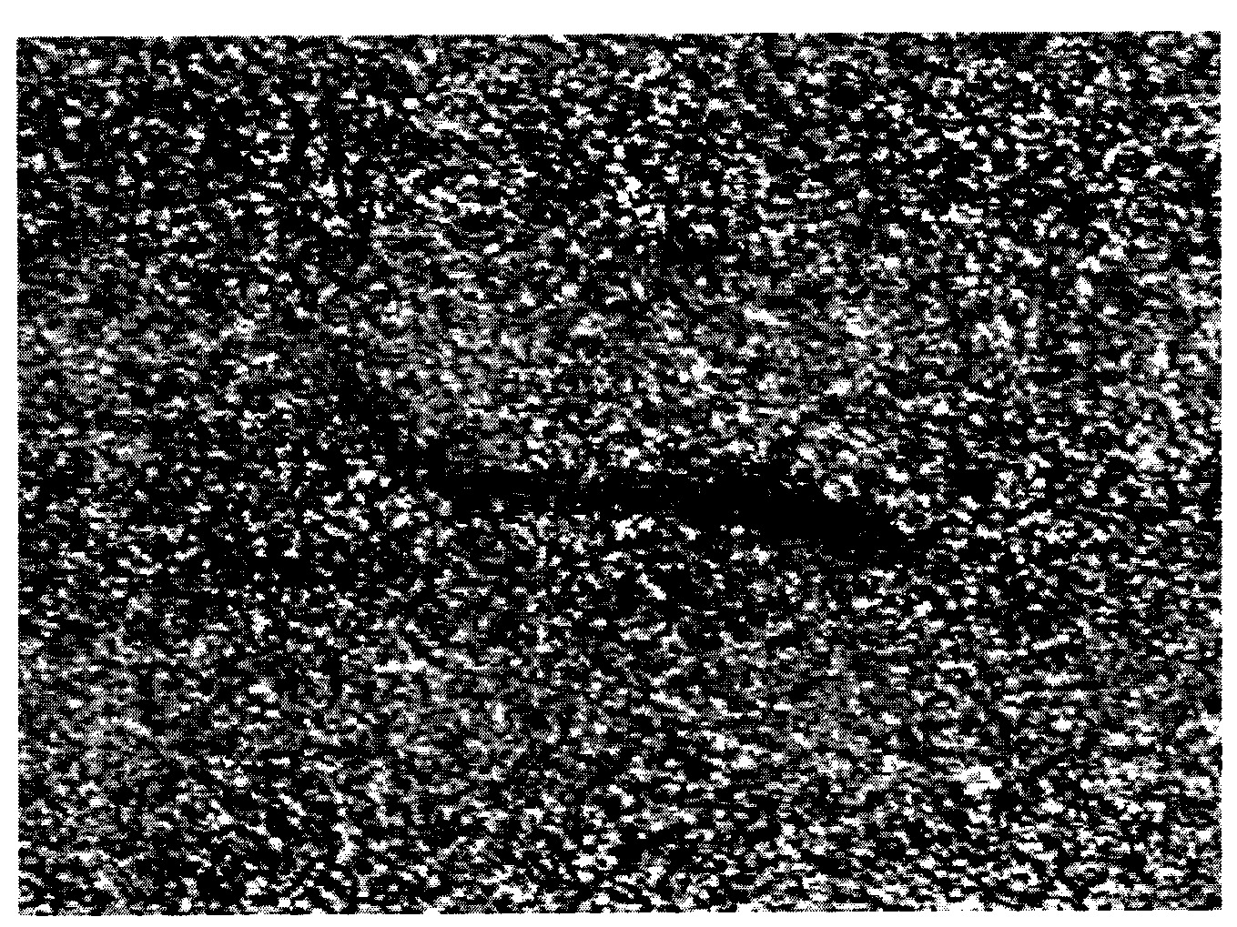 Method and device for sea surface oil spillage detection based on SAR (synthetic aperture radar) image