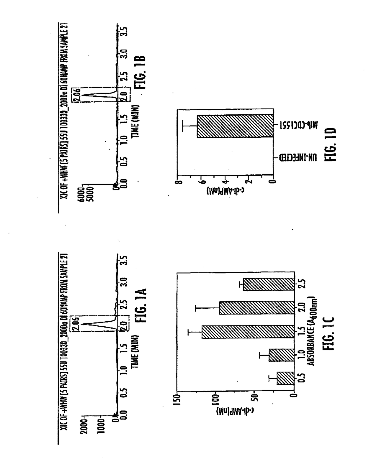 Bacteria over-expressing c-di-amp and therapeutic methods