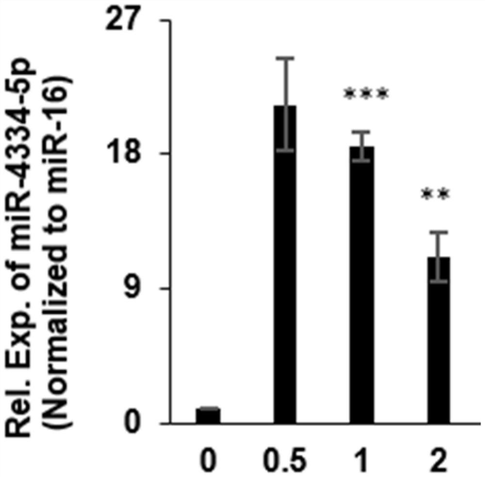 ssc-miR-4334-5p used for preparing kit for detecting foot-and-mouth disease infection and medicine for treating foot-and-mouth disease