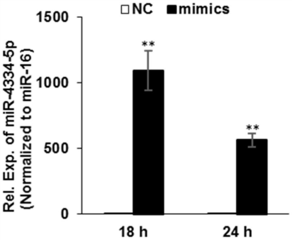 ssc-miR-4334-5p used for preparing kit for detecting foot-and-mouth disease infection and medicine for treating foot-and-mouth disease