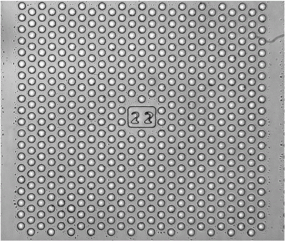 Method and kit for detecting free rare tumor cells in human biofluid sample