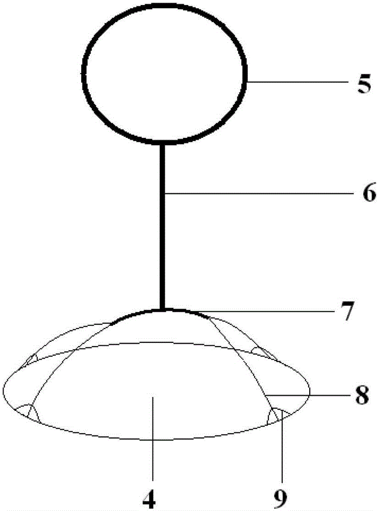 Easy-to-pull inner bottle cap