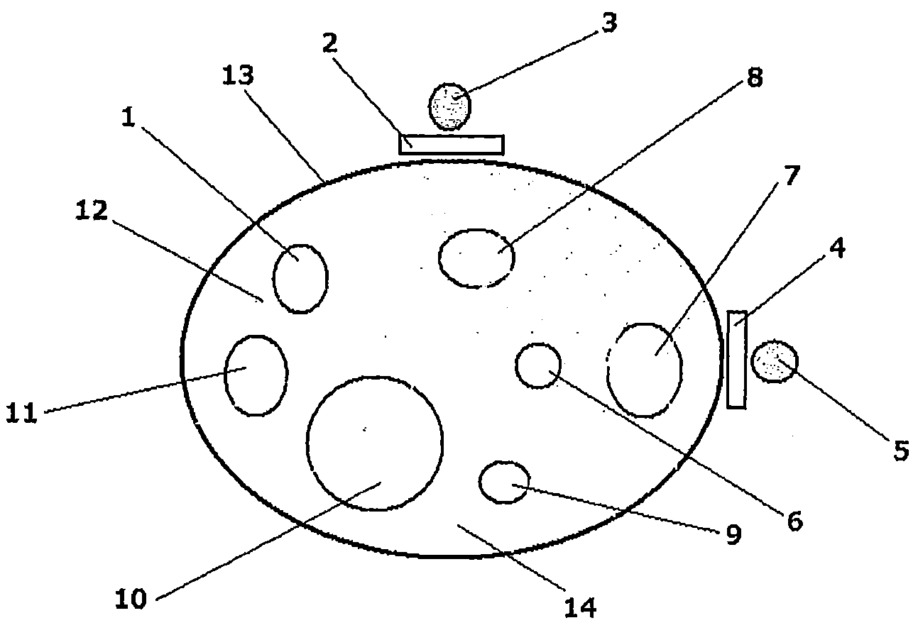 Method and apparatus for electromagnetic human and animal immune stimulation and/or repair systems activation