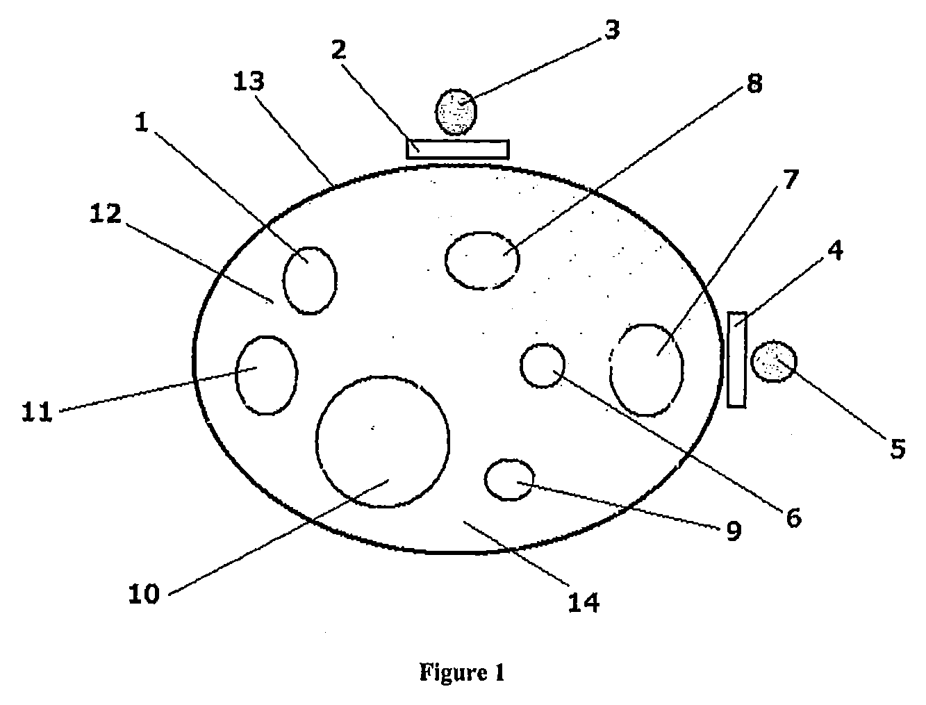 Method and apparatus for electromagnetic human and animal immune stimulation and/or repair systems activation