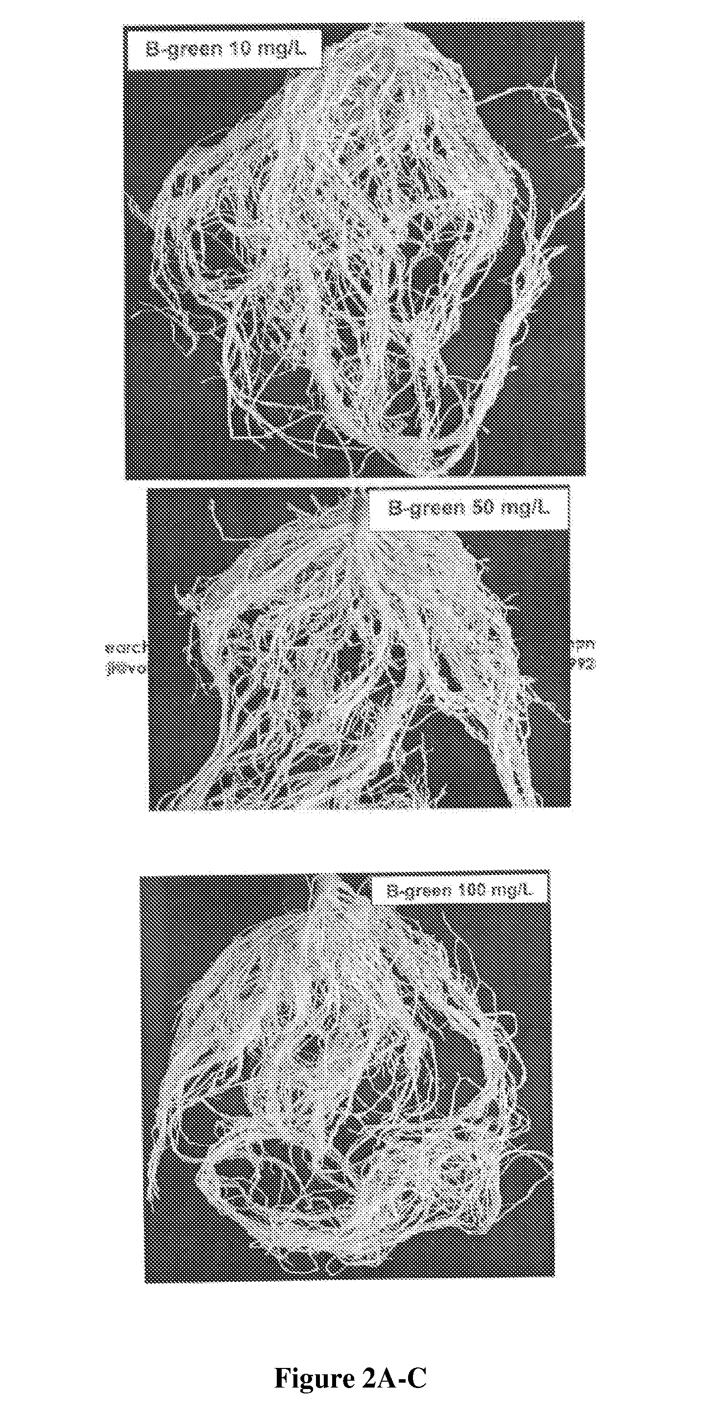 Insect and plant disease control compositions and methods of use thereof