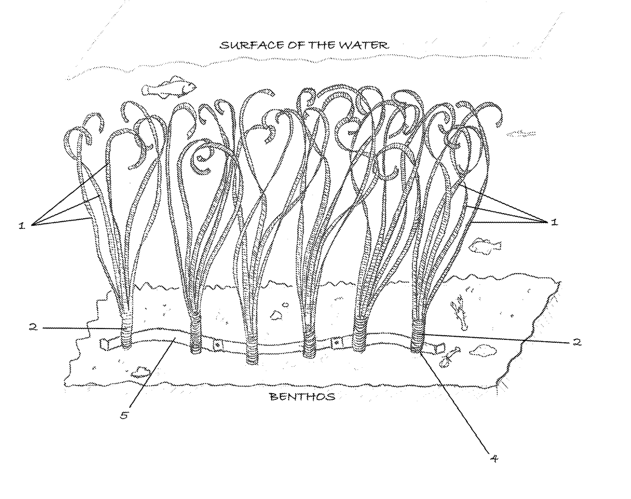 Aquatic Artificial Habitat