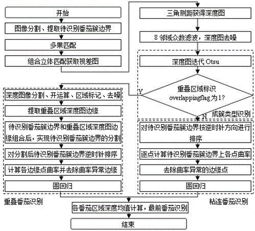 A clustered tomato recognition method based on binocular stereo vision