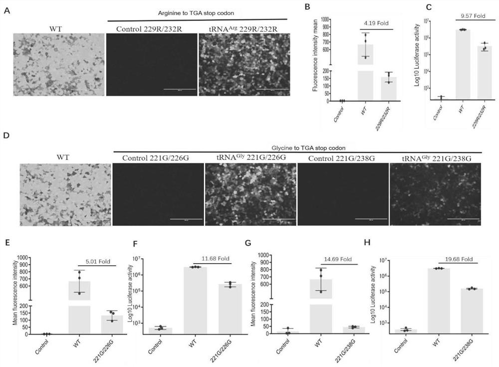 Application of tRNA subjected to anticodon editing as molecular switch in precise control of protein expression and virus replication