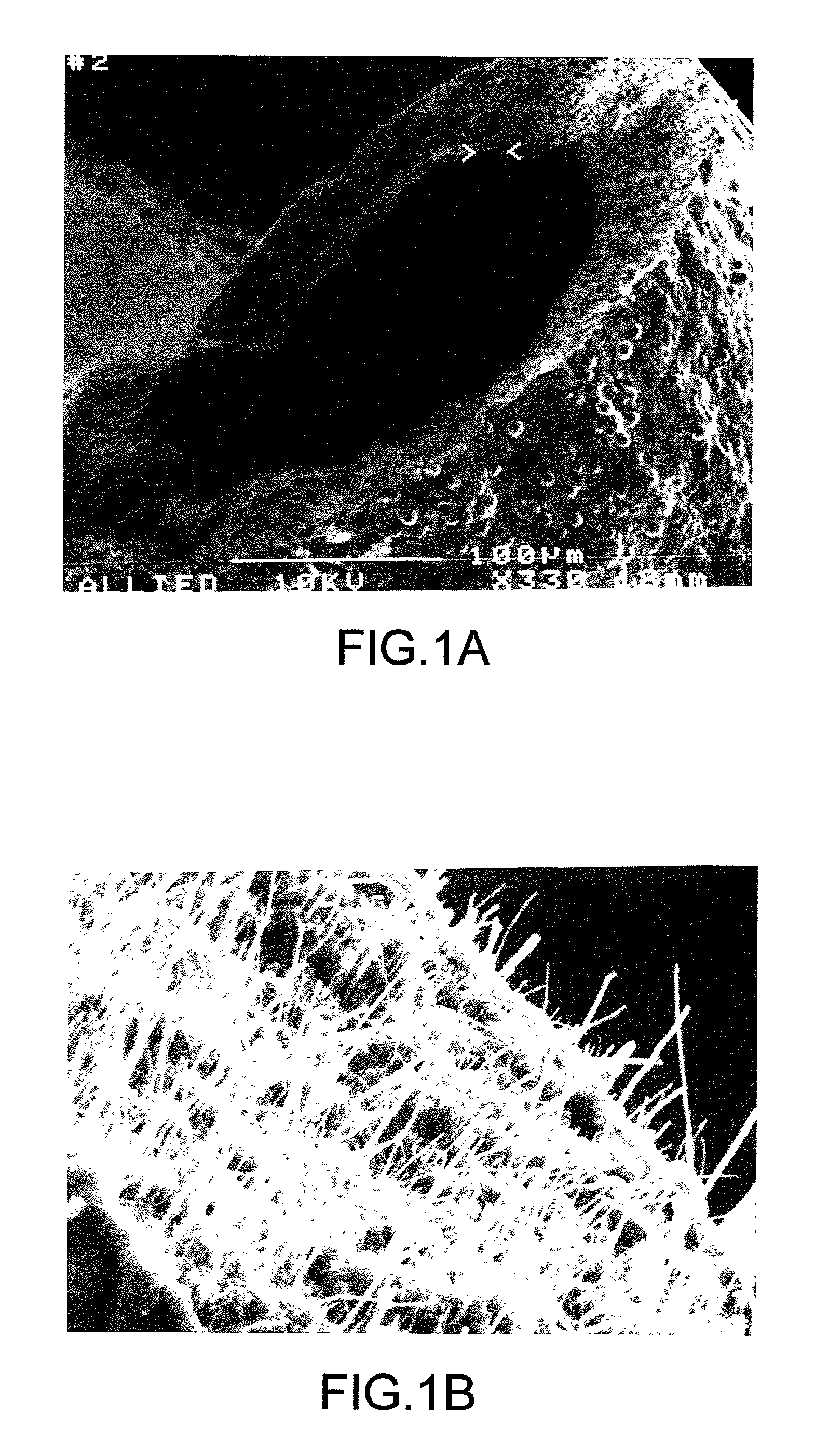 Composite material comprising oriented carbon nanotubes in a carbon matrix and process for preparing same