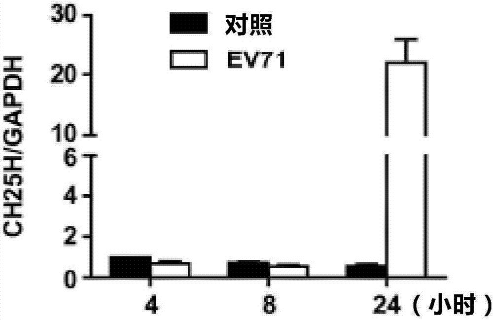 Cholesterol hydroxylase CH25H and application thereof