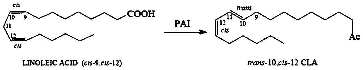A kind of linoleic acid isomerase mutant and its application
