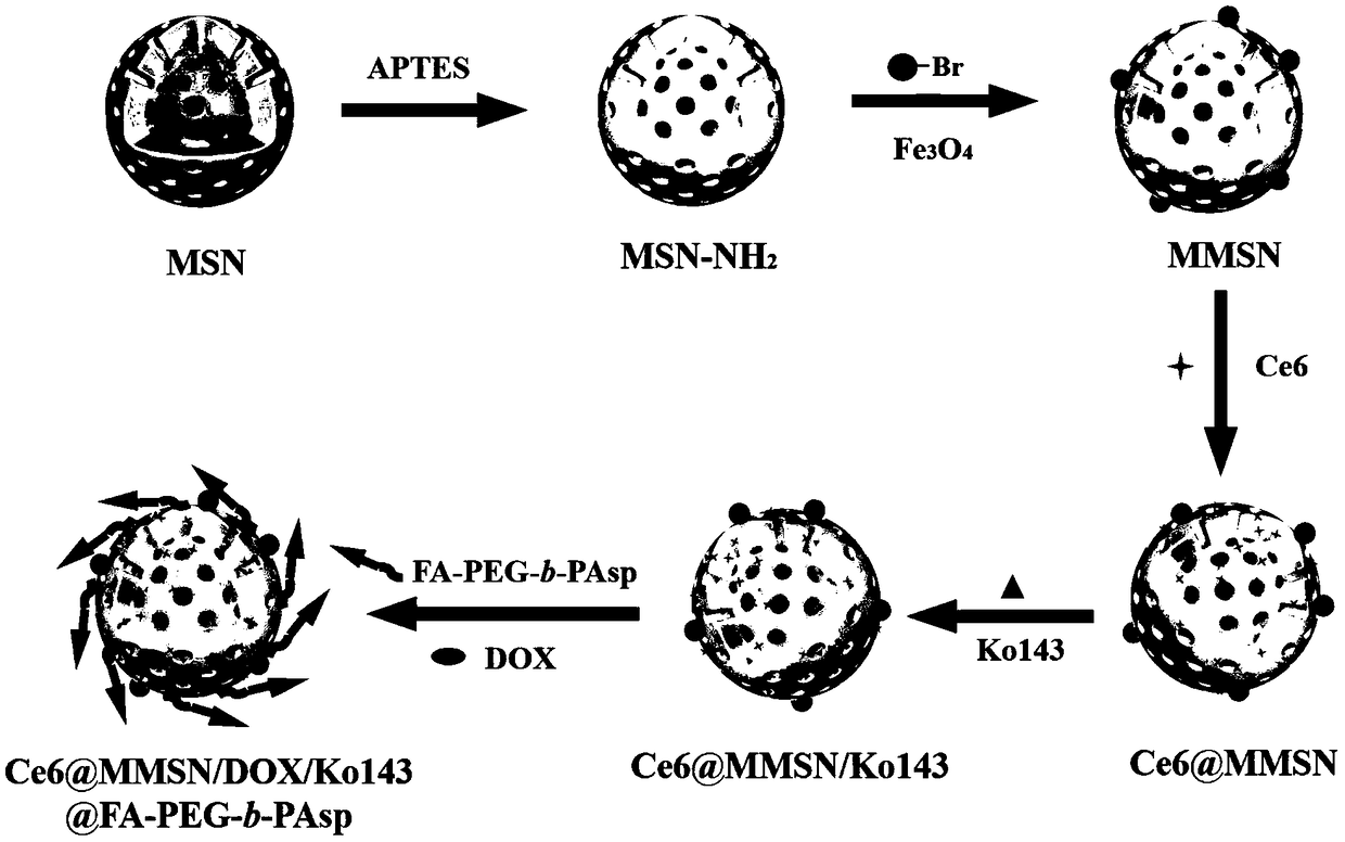 Novel mesoporous silicon sphere co-loaded medicine nano-complex and preparation method thereof