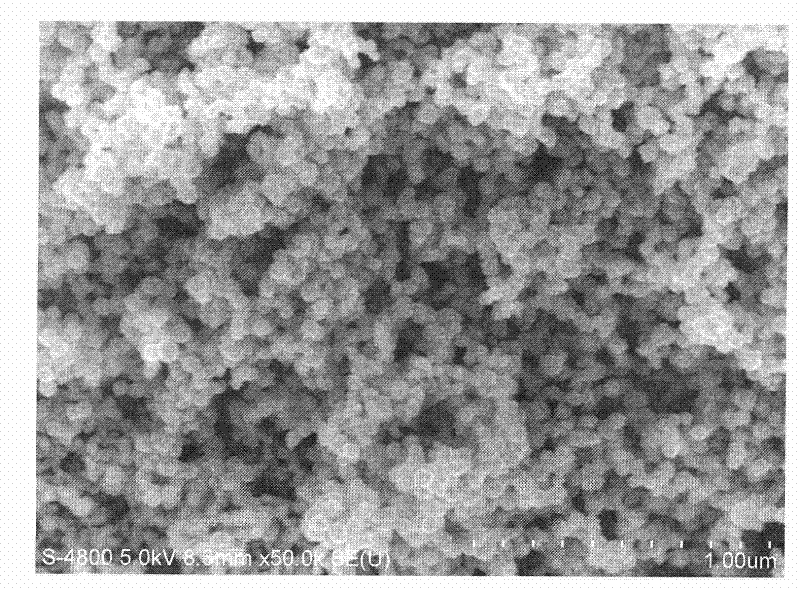 Method for preparing nano complex particle for highly conductive and magnetic electro-magnetic screen
