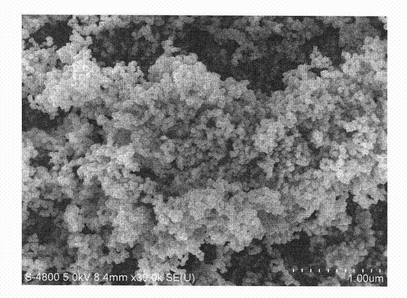 Method for preparing nano complex particle for highly conductive and magnetic electro-magnetic screen