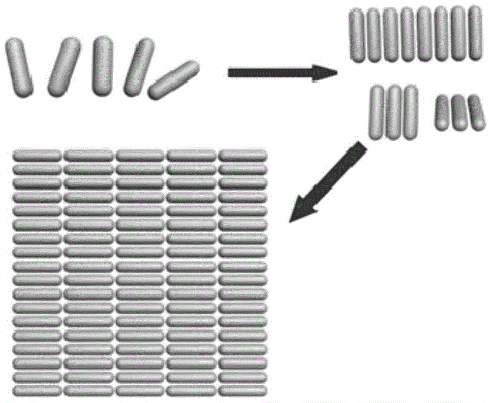 A kind of preparation method of SERS substrate monolayer film and this SERS substrate monolayer film