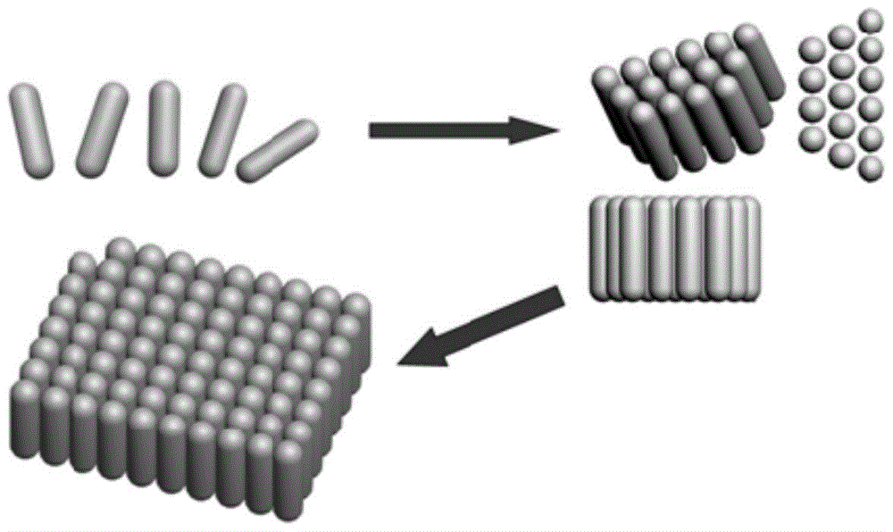 A kind of preparation method of SERS substrate monolayer film and this SERS substrate monolayer film