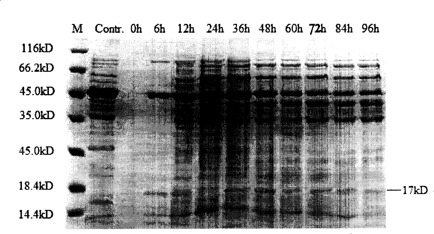 Expressing method of human interleukin 7 in eucaryon host