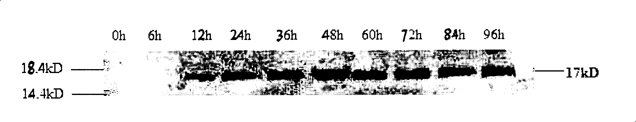 Expressing method of human interleukin 7 in eucaryon host