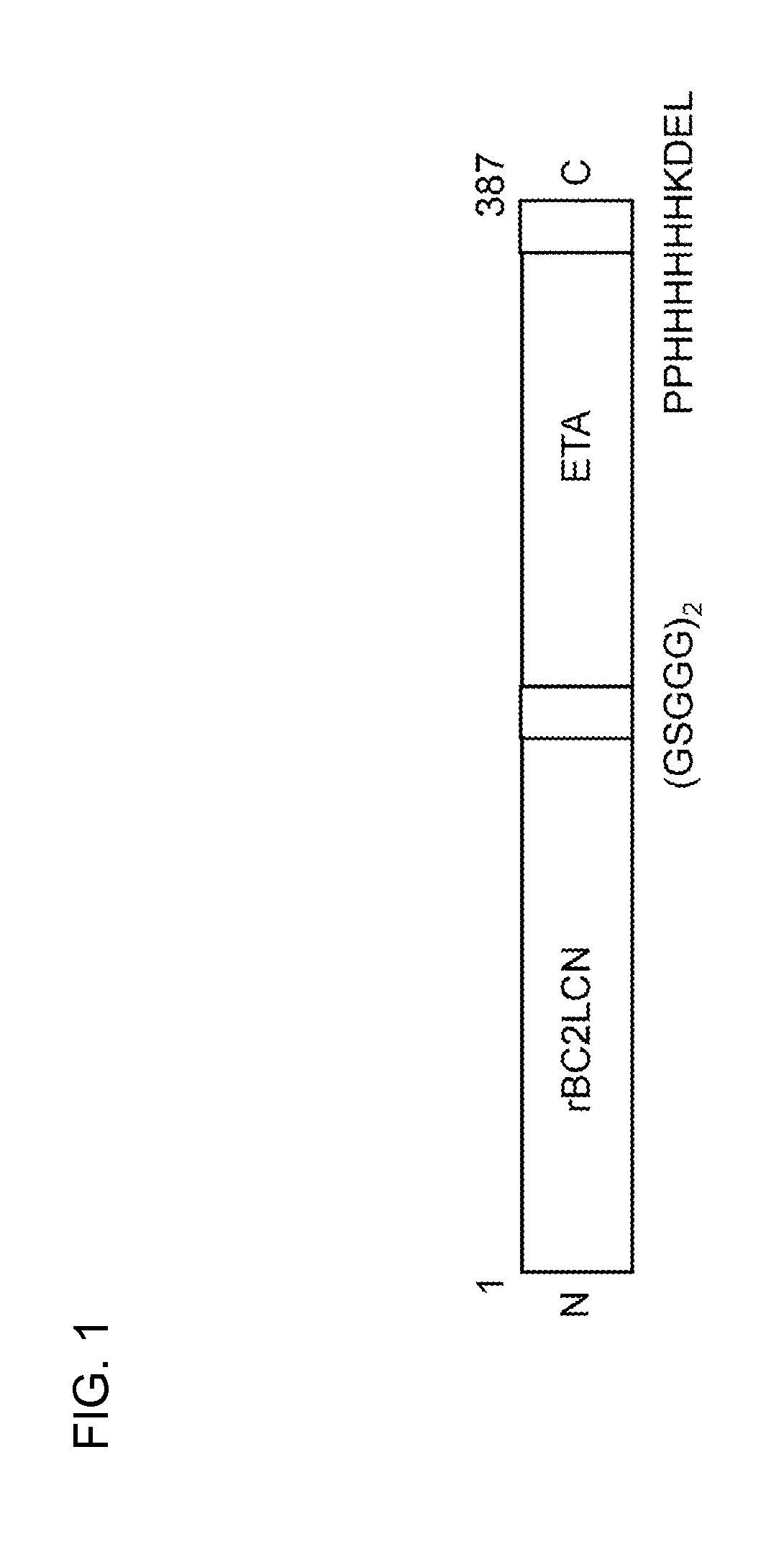 Undifferentiated cell elimination method