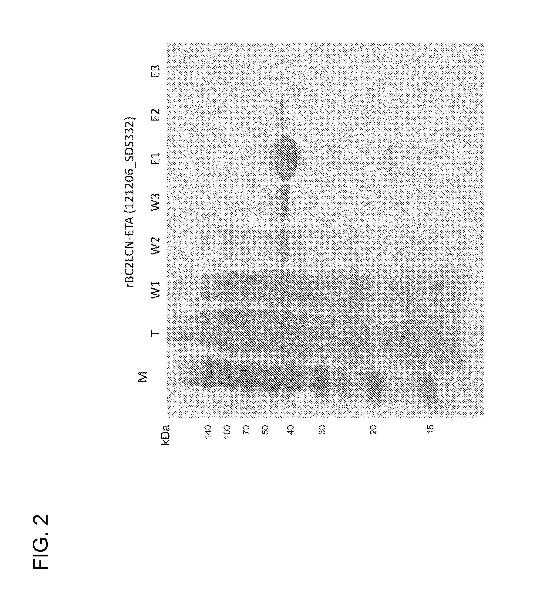 Undifferentiated cell elimination method