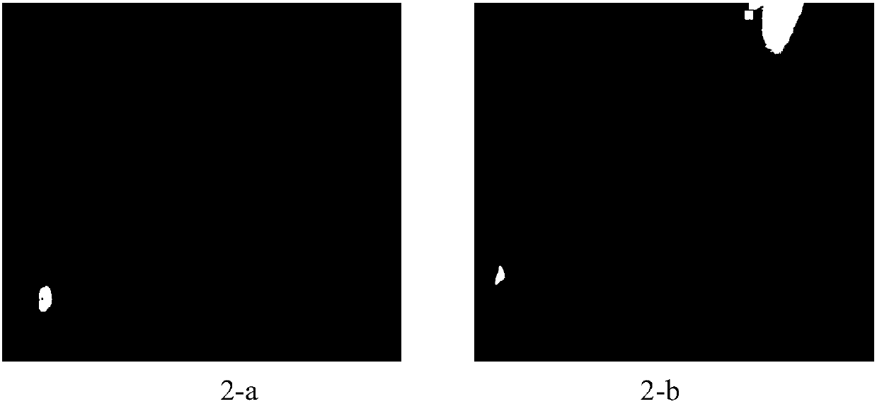 Composition and application of composition to preparing fatigue relieving cosmetics