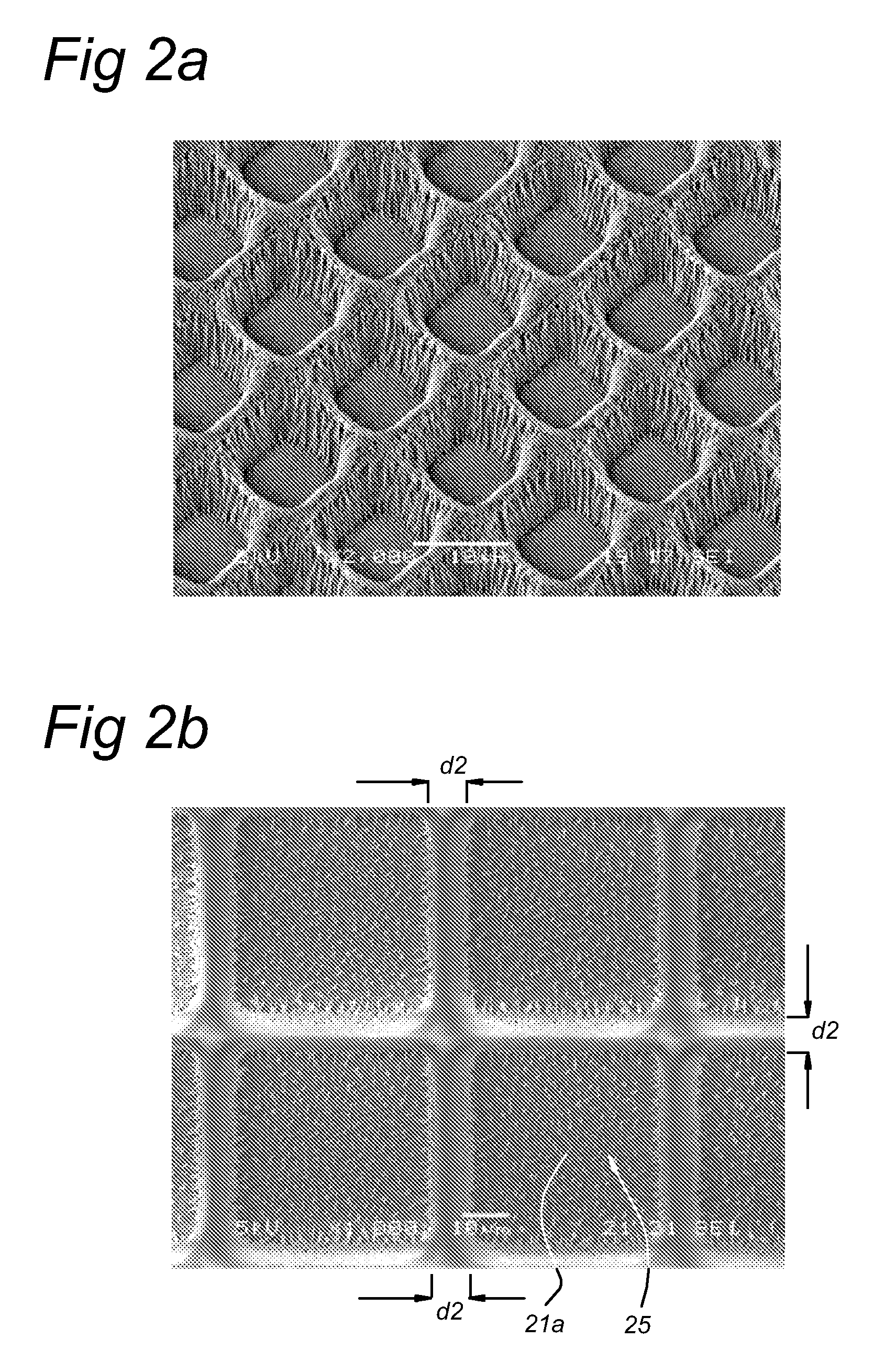 Biochip and process for the production of a biochip