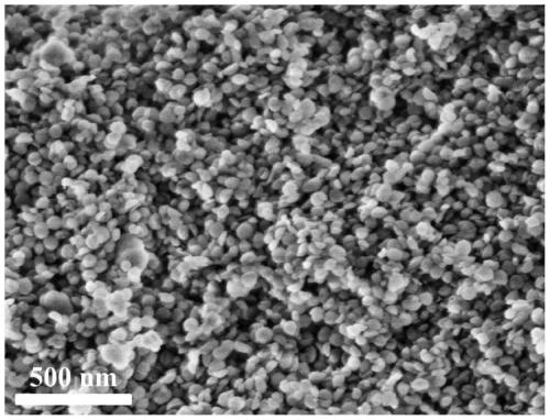 Preparation method of mesoporous silica nanohemisphere material