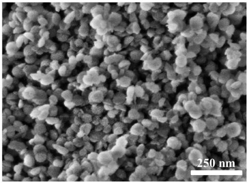 Preparation method of mesoporous silica nanohemisphere material