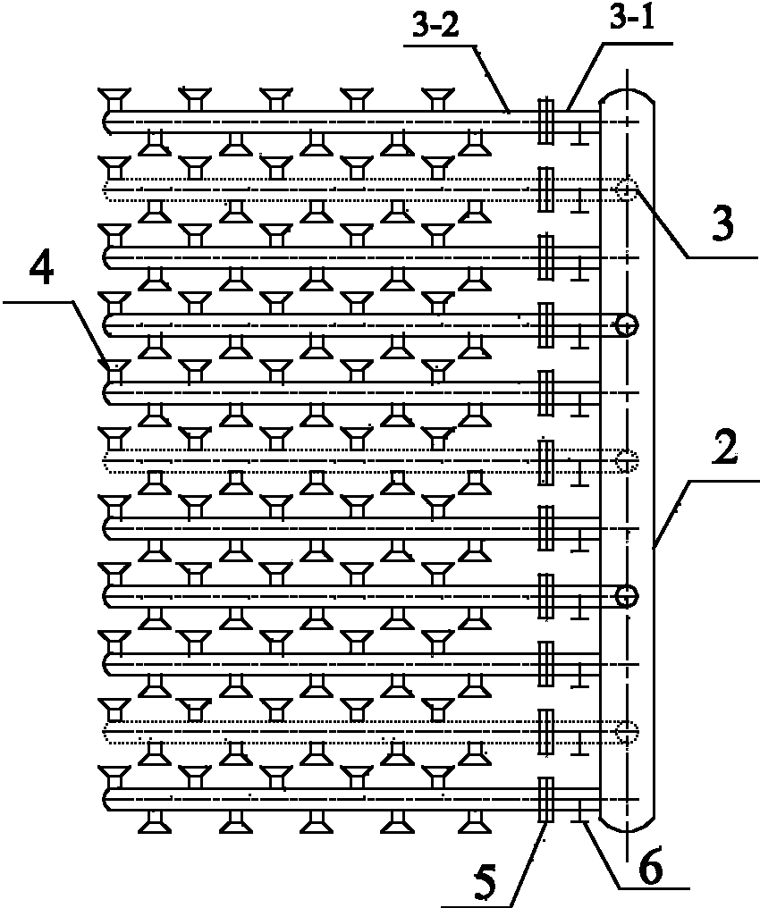 Flue ozone distributor, and arrangement mode and application thereof