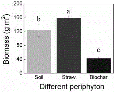 Method and application for rapidly developing natural biological membrane of beach reclamation soil