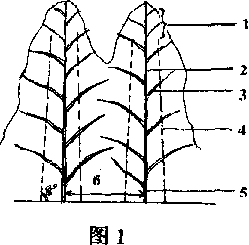 Method for moderate trimming wood sided branches in forest