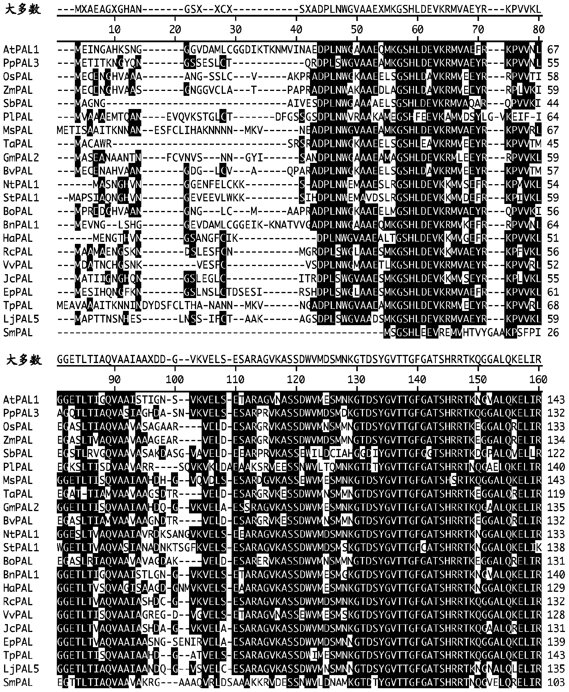 Spatially modified gene expression in plants