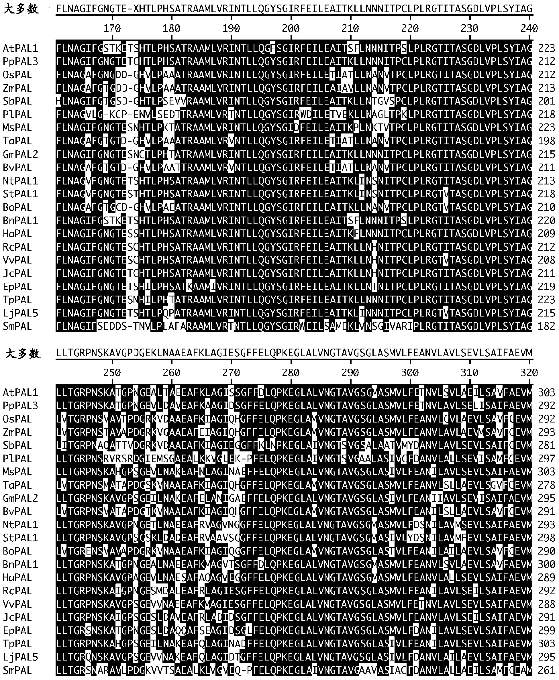 Spatially modified gene expression in plants