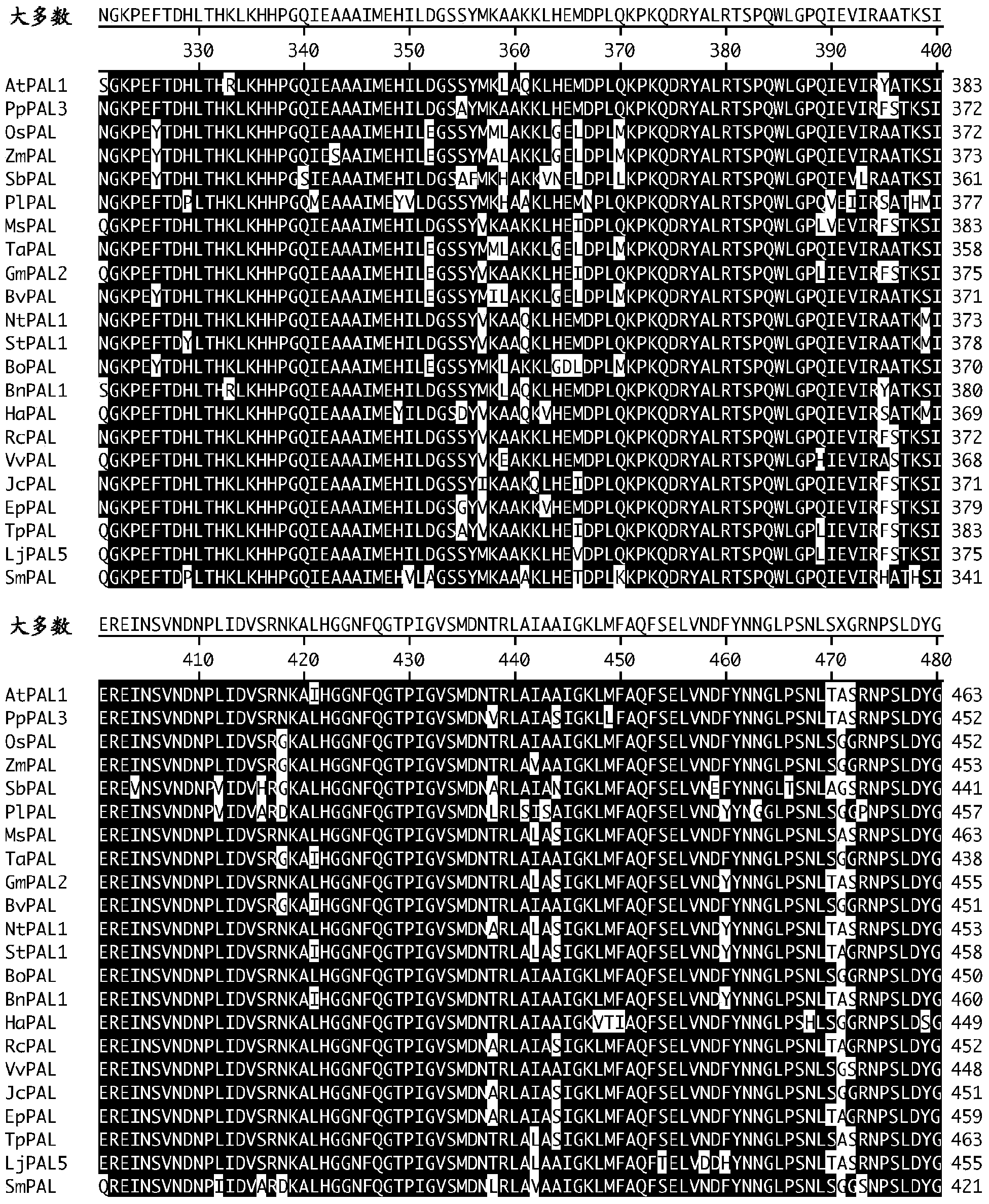 Spatially modified gene expression in plants