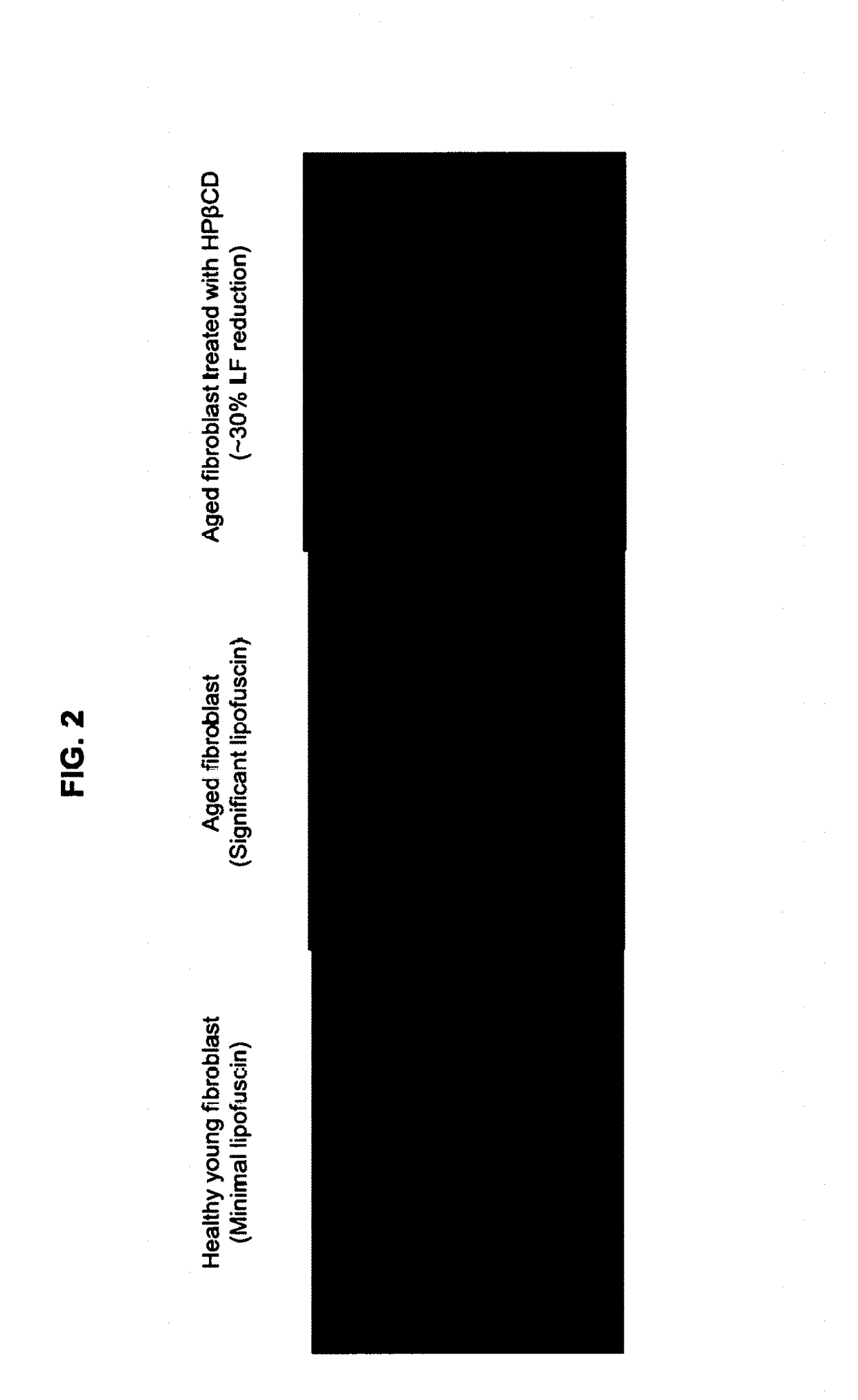 Cyclodextrin compounds for the prevention and treatment of aging