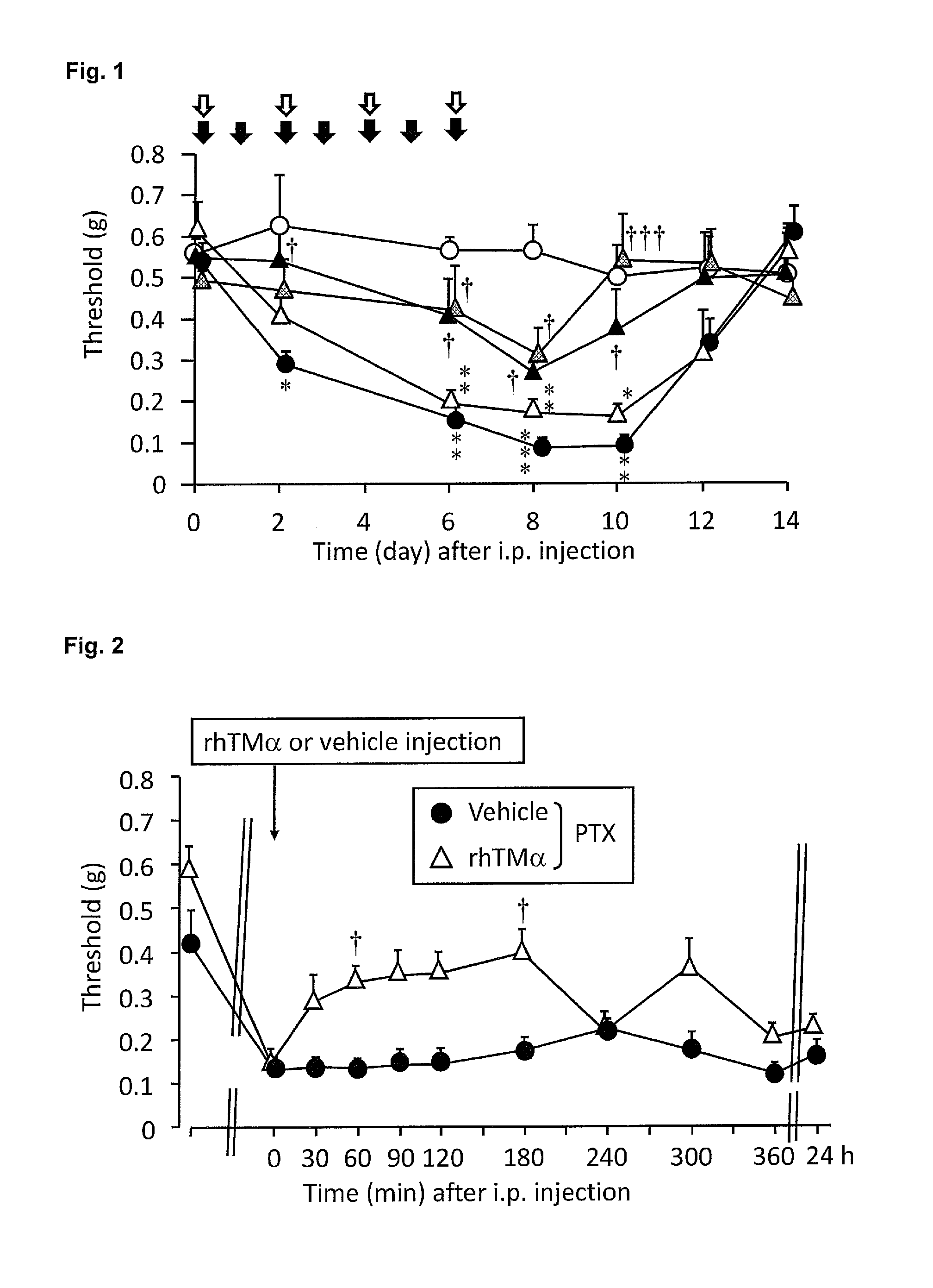 Agent for prophylactic and/or therapeutic treatment of peripheral neuropathic pain caused by anticancer agent