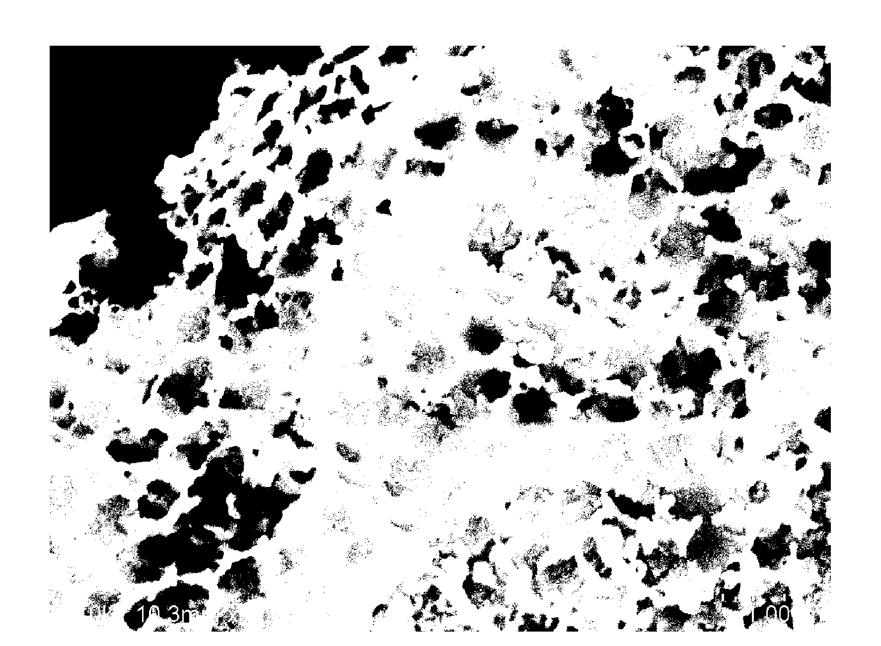 Methods of making platinum and platinum alloy catalysts with nanonetwork structures